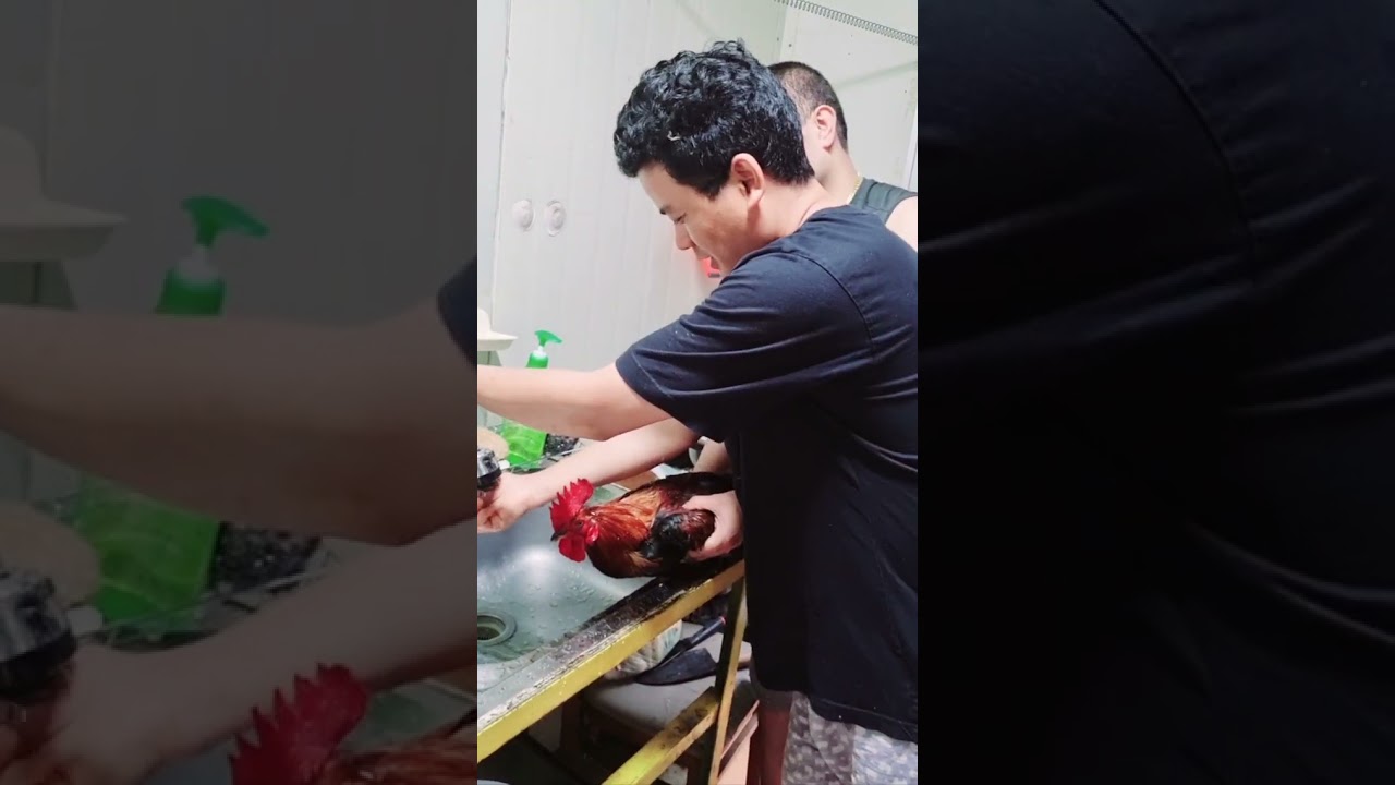 South Korea ma rato bhale ko puja garidai....