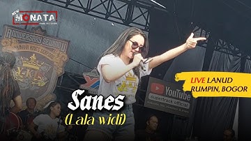Sanes - Lala Widi (New monata) | Live At ANNIVERSARY SEWINDU YAMAHA KINGS SERPONG (Y-KIS)