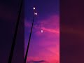 which one gives you the calm felling 😴#relax #nostalgia #fypシ #vibes #shorts #aesthetic #relatable