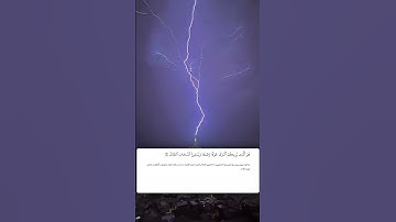 شيخ رعد الكردي حالات واتس اب | سورة: (الرعد: ١٢)