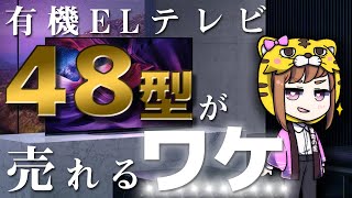 【有機ELテレビ】48型のコンパクトさが売れる！人気の理由とメーカー別に比較【リビング以外にも最適】