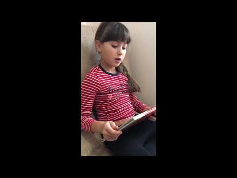 Обзор Книги А.В. Курпатова «Как устроен мозг». Отзыв