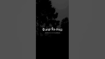 #حالات_واتس #قرآن #تلاوة_خاشعة الم يجدك يتيما فئاوى