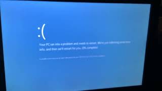 Scratch Cat Fells Down Stairs Has Bsod