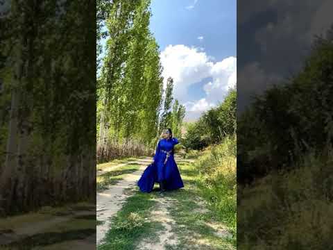 Закия 🐆⬅️🎆