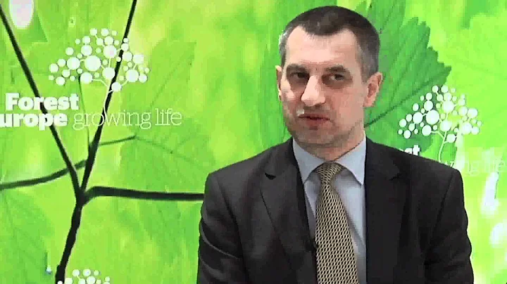FOREST EUROPE Expert Level Meeting, ELMM, Roman Mi...
