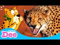 Cheetah the fastest   cheetah run  animal rush 2  animal songs  dragon dee songs for children