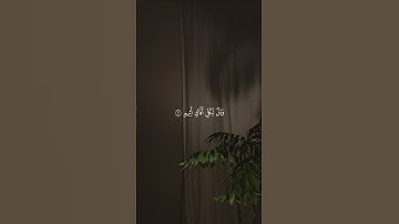 تلاوة خاشعة للقارئ ياسر الدوسري 🤍 #قرآن #quran #راحة_نفسية #سورة_الأحقاف #ياسر_الدوسري