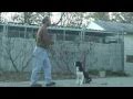 Bronx basic training part 1 Bronx basic training part 1
