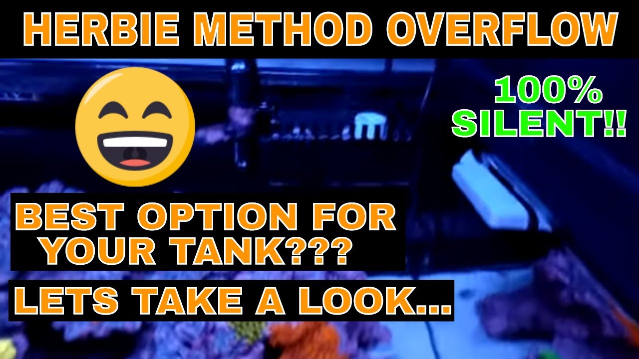 Herbie Method How It Works DIY Reef Tank Overflow YouTube