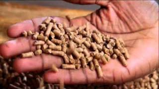 Film Jarga Khar V. Fr