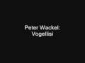 Peter Wackel - Vogellisi