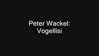 Video thumbnail of "Peter Wackel - Vogellisi"