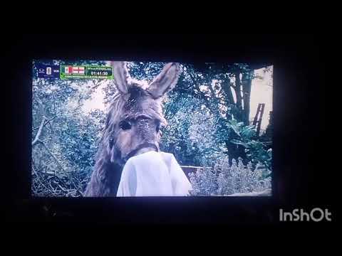 LA Nana Mágica Burro Femenino Sonriendo 2 Veces 