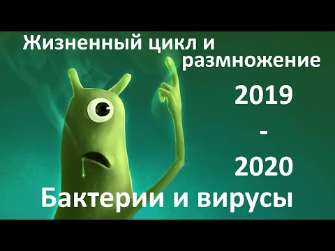 15. Вирусы и бактерии (9 или 10-11 класс) - биология, подготовка к ЕГЭ и ОГЭ 2020