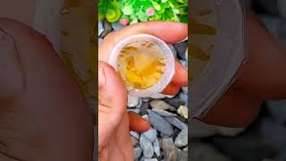 Satisfying Chocolate Candy Jelly Asmr Video Unboxing 🤩😋