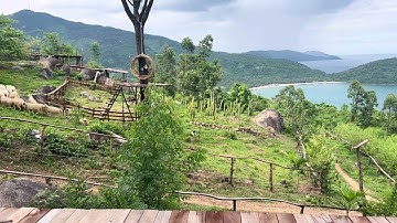 Đồi cừu hải vân