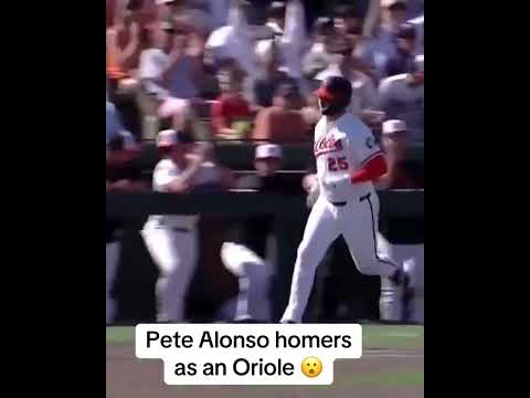 Polar Bear as an Oriole 👀