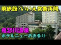 【復活!?では行く】お得な宿 鬼怒川 ホテルニューおおるり!宿泊記<高評価温泉>(鬼怒川温泉)