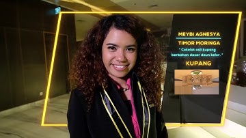 DSC 2018 EPS.4 - SEGMEN 2