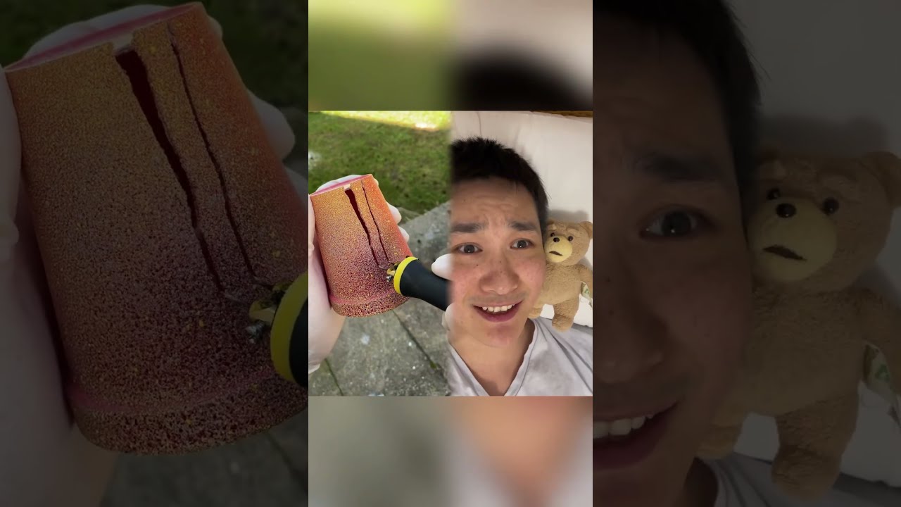 Big Reveal This Is A Video That Can Make You Happy All Day Long 