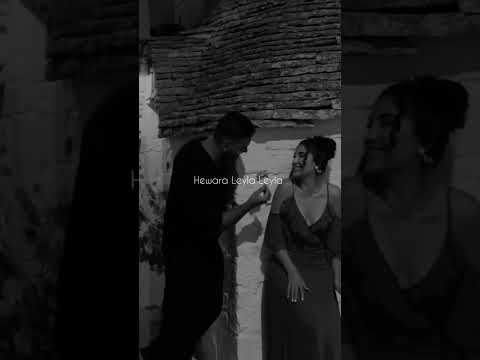 هاوراي ليلى ليلي هوزان حميد حالات وتس حب اشتركوا بالقناه وصلوني 100 لايك تعليق تصميمي