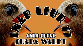 SUARA INAP BURUNG WALET - Inap Liur 77,Inap Liur 77 Mp3, Inap Liur 77 Andi Sufar