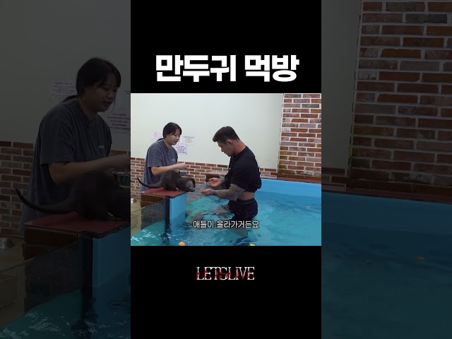 ㅇ..이거 우야노