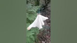 2 minutes of Whimsical little creature