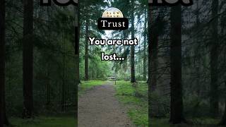 Your SOUL knows ✨ TRUST your JOURNEY ✨ #manifest #affirmations #loa #mindset