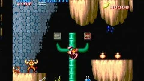 Capcom Classics Collection volume 2 - Black Tiger (Playstation 2) Game Play