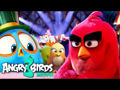 THE ANGRY BIRDS Movie 3 (2024) : Trailer, Release Date & FIRST LOOK