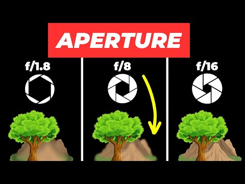 Understanding Aperture in Photography