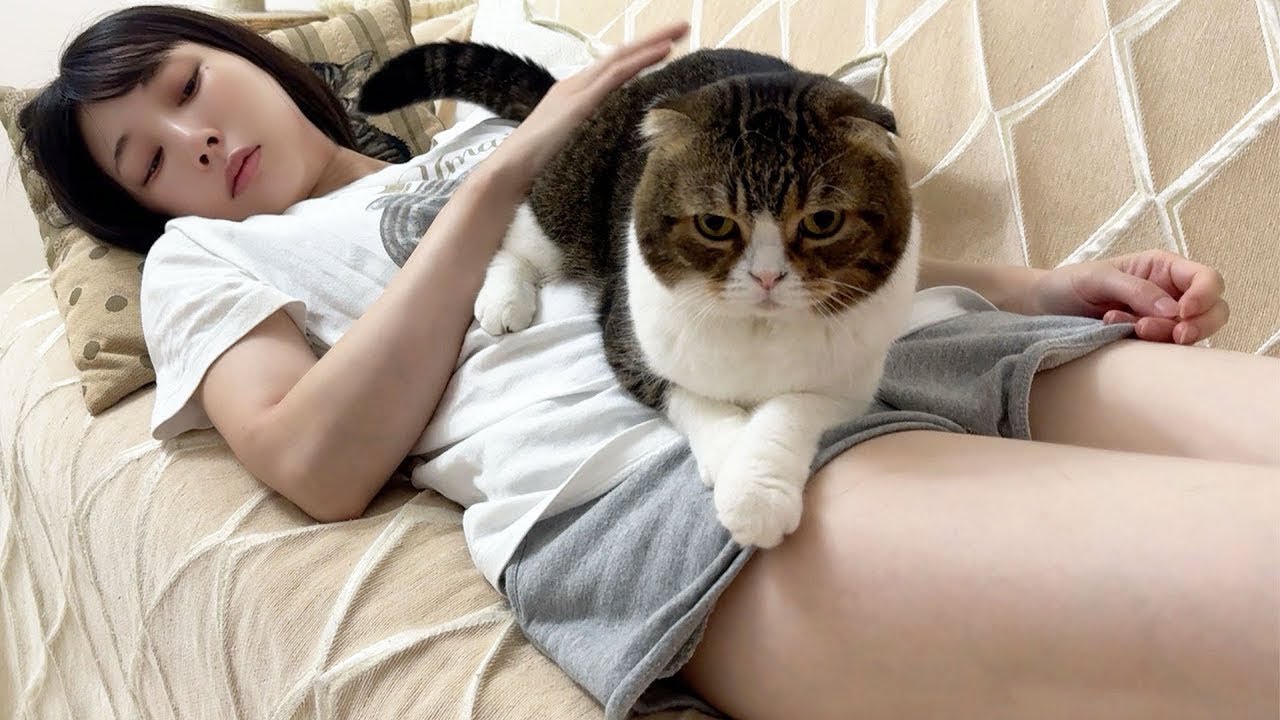 1週間ぶりにママと再会したら猫が離れなくなって大変なことに - YouTube
