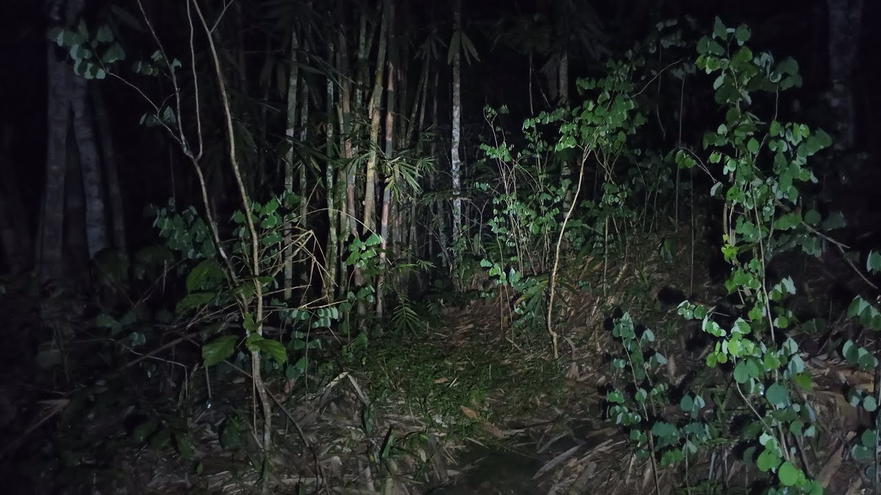 live misteri bekas kuburan nenek