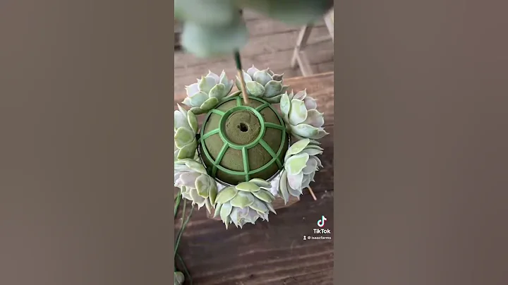 Beautiful Bridal Bouquet Succulent Arrangement