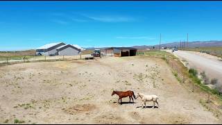 11305 Running Deer Ct. Mountain Home, ID 83647