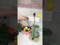 Video Image