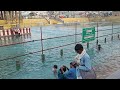 Srivari Pushkarini Tirumala