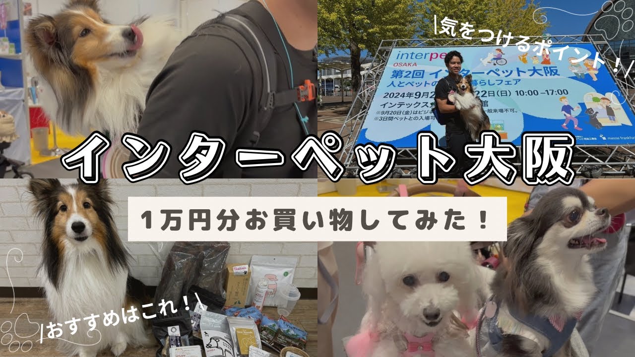 【インターペット2024大阪】ドッグトレーナー田口が行ってみた！1万円分お買い物！～Vlog、商品紹介～