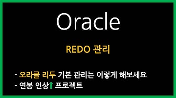오라클 REDO(리두) 관리 쉽게 최적화
