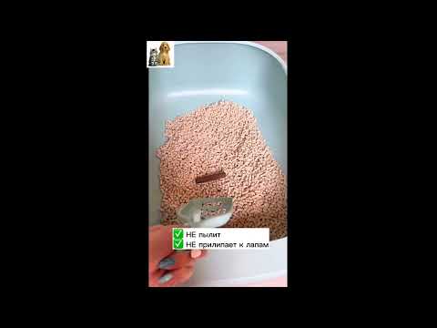 Японский системный туалет