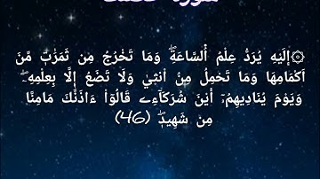 صلاة التهجد || آيات من سورة فصلت || برواية ورش عن نافع
