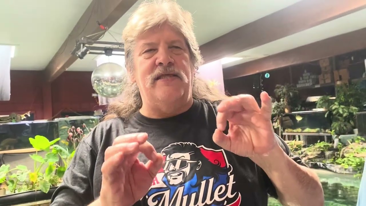 Paddlefish pickup at Ohio fish rescue!