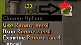 OldSchool Runescape Herb Farming Guide! Plus loot from 100 Ranarr Seeds!