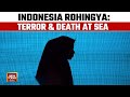 Indonesia Rohingya: Rape, Terror &amp; Death At Sea: How Boat Carrying Rohingyas Capsized
