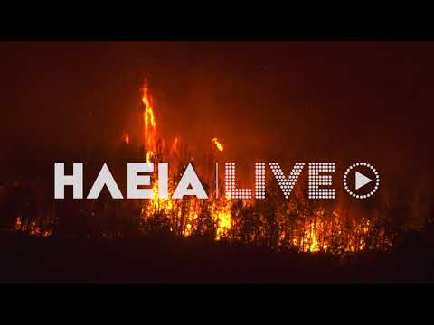 ilialive.gr - Νυχτερινά