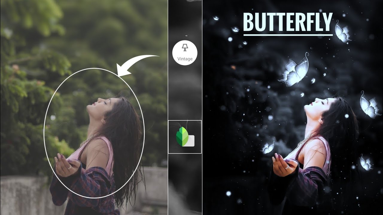 Snapseed Butterfly Photo Editing Kaise kare