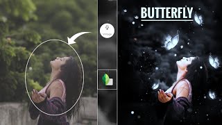 Snapseed Butterfly Photo Editing Kaise kare screenshot 5