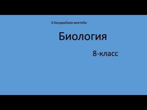 Video: Глоссарий деген эмне?